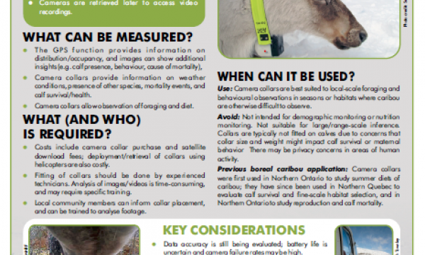 Camera Collars Factsheet