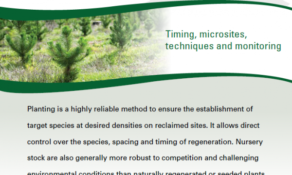 Cover - A guide to planting fact sheet