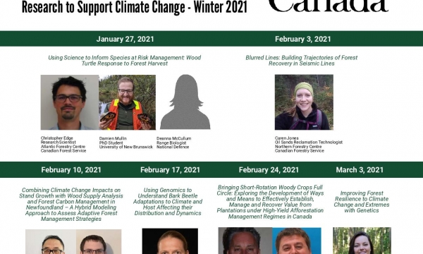 cif 2021 webinar winter