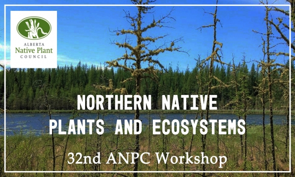 ANPC 32nd Workshop