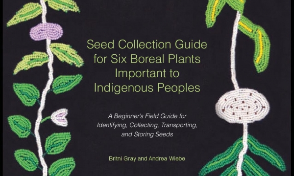 seed guide