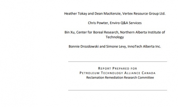 Report cover page
