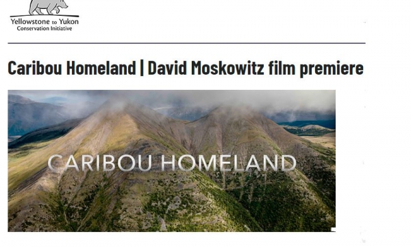 screenshot from Yellowstone to Yukon webpage