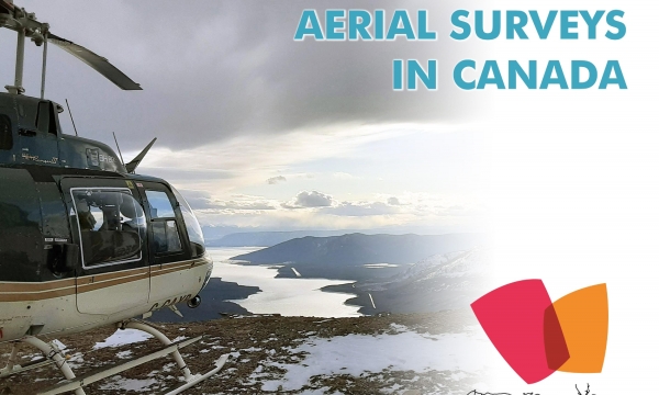 Screenshot of the cover page of the report