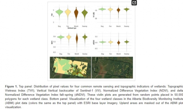 Wetland mapping graphic