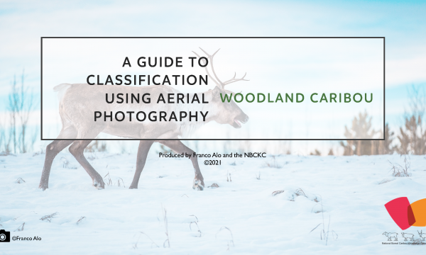 Screenshot of the cover page of the guide