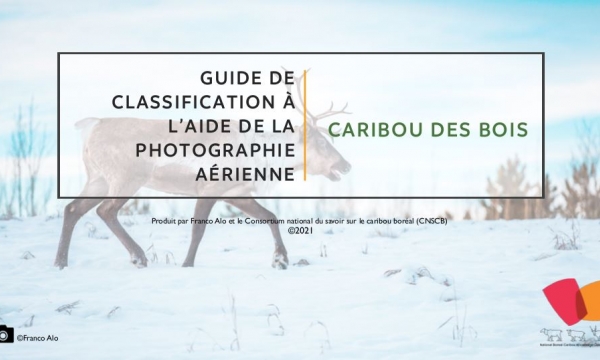 Prise d'ecran de la page de couverture