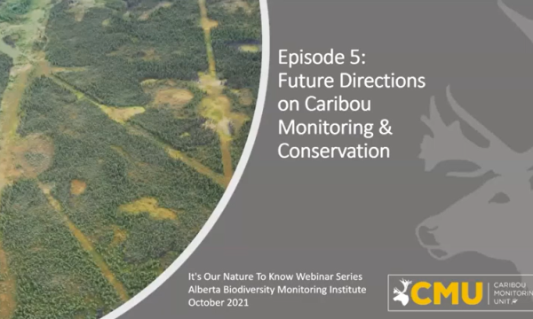 &quot;ABMI's Future Directions on Caribou Monitoring and Conservation&quot; Webinar title slide