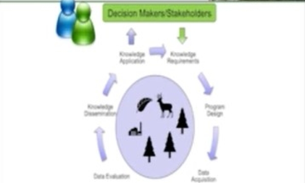 Screen shot from video