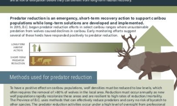 Results_Part1_BC_infographic_screenshot