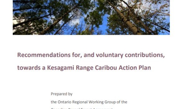 Cover page of the Recommendations for, and voluntary contributions, towards a Kesagami Range Caribou Action Plan
