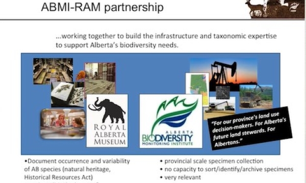 Screen shot from video