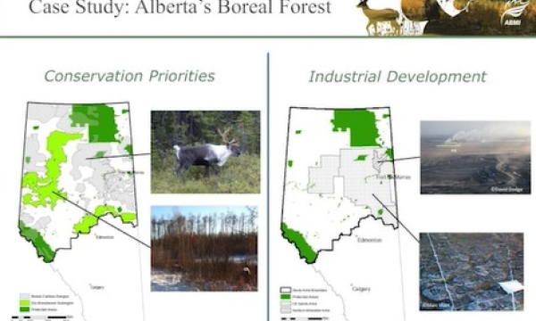 Screen shot from video