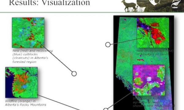 Screen shot from video