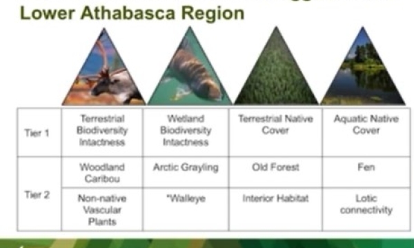 Screen shot from video