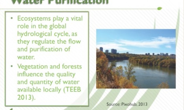 Screen shot from video