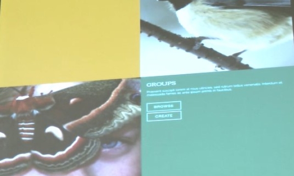 Screen shot from video