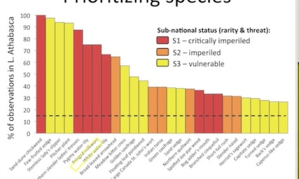 Screen shot from video