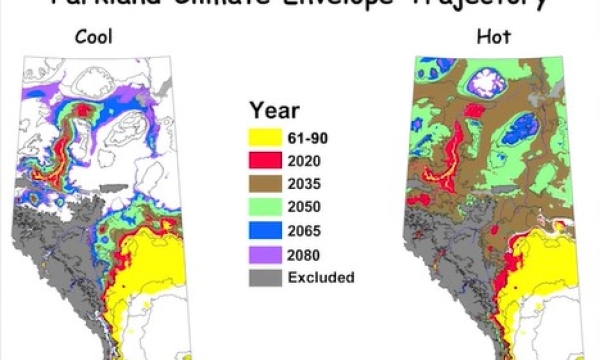 Screen shot from video