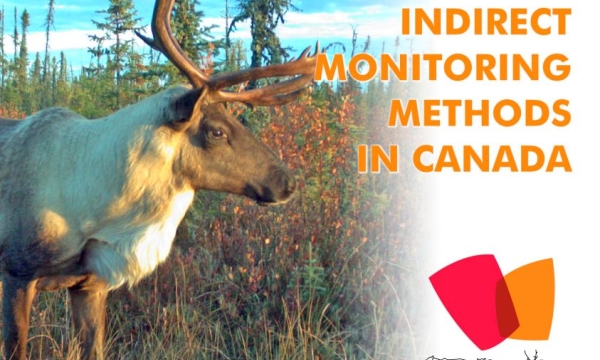 Screenshot over cover slide of report