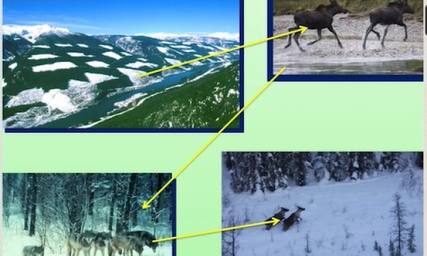 Screen shot from video