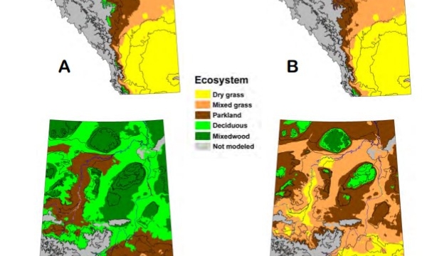 Change in ecoregions over time