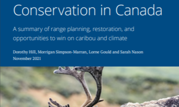 Cover of 2021 Pembina Report- Status of Boreal Woodland Caribou Conservation in Canada