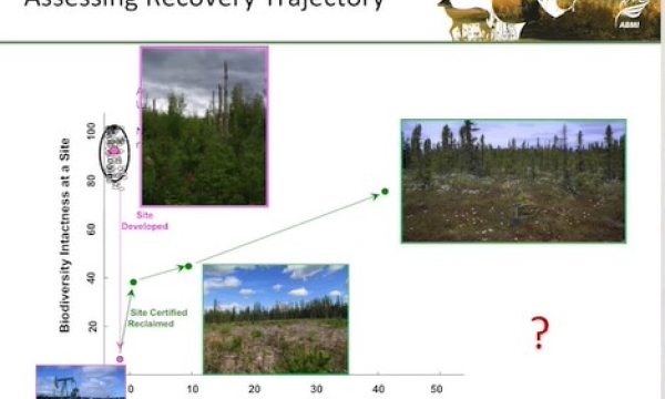 Screen shot from video