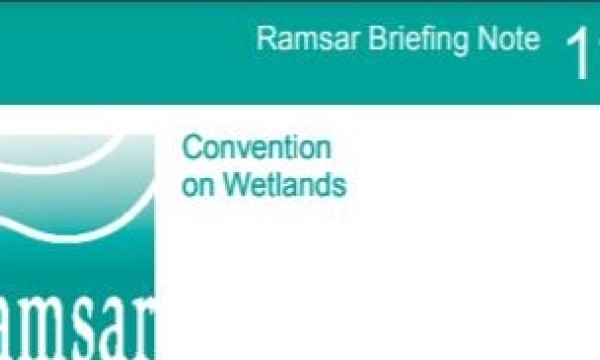 Practical Peatland Restoration