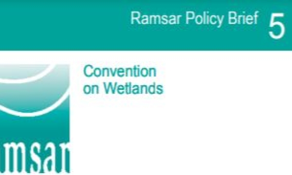 Ramsar Policy Brief