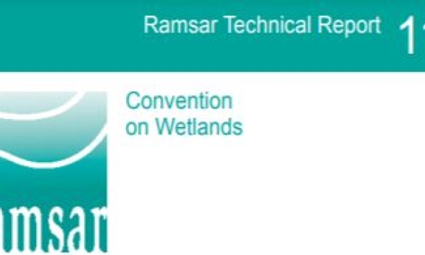 Ramsar Technical Report
