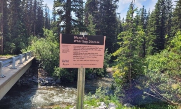 Sign in Kanaskis