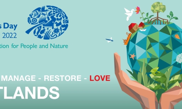 World Wetland's day
