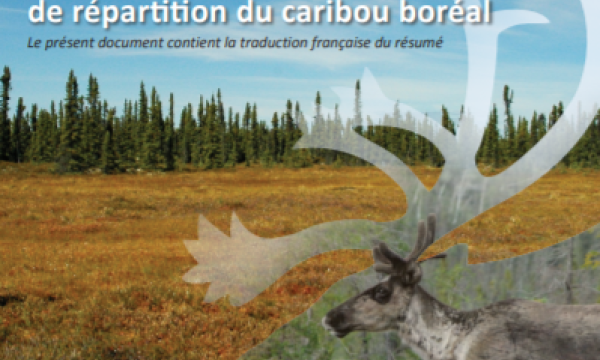 Cover of . A Framework for Boreal Caribou Range Planning, by the NWT government