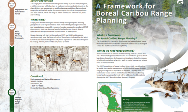 Cover_frameowrk_boreal_caribou_range_planning_fact_sheet