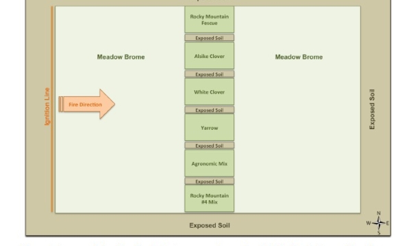 Site diagram for fire test