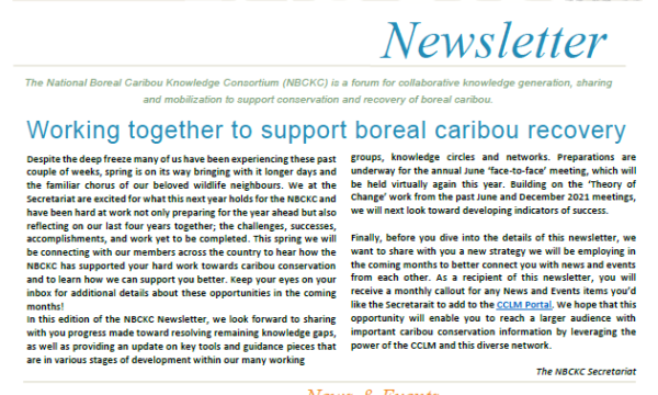 Cover of NBCKC Newsletter #14 - January 2022 (English)
