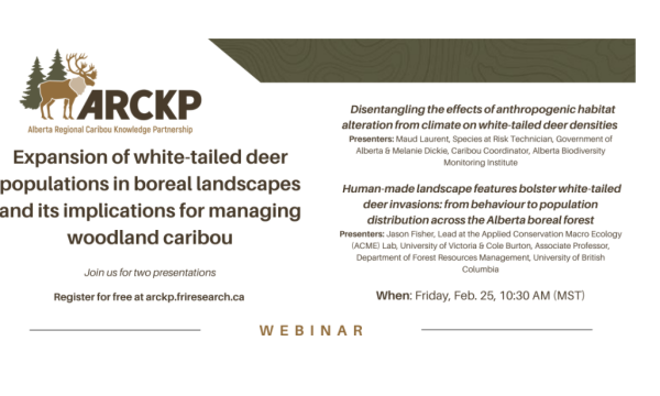 Image shoes the ARKCP logo, along with the title of the webinar: Expansion of white-tailed deer populations in boreal landscapes and its implications for managing woodland caribou. Titles of the two presentations are also provided: Disentangling the effects of anthropogenic habitat alteration from climate on white-tailed deer densities  and Human-made landscape features bolster white-tailed deer invasions: from behaviour to population distribution across the Alberta boreal forest