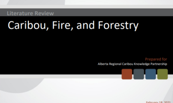 Cover of Literature Review: Caribou, Fire, Forestry