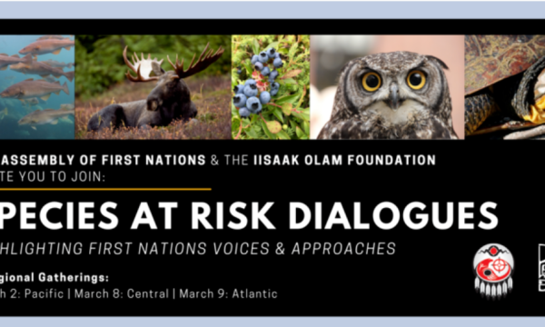 FN Species at Risk Dialogues event photo