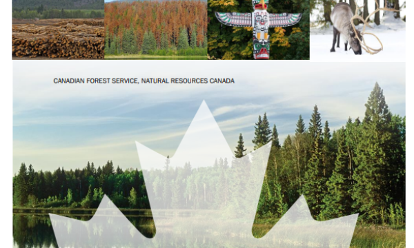 Cover_Addressing Cumulative Effects of Natural Resource Development in Canada’s Forests