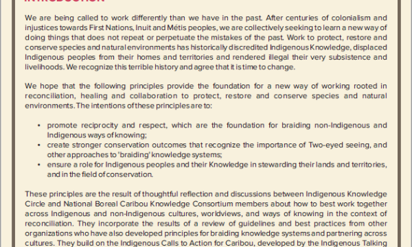 Principles for Cross-Cultural Collaboration thumbnail