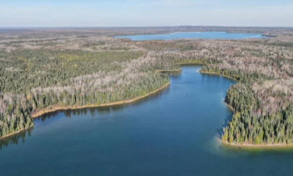 News article photo- boreal wildlands