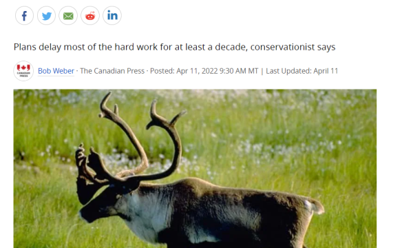 Cover-Alberta_Releases_Recovery_Plan_2Herds