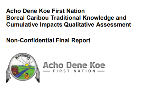 Report title and Acho Dene Koe First Nation logo