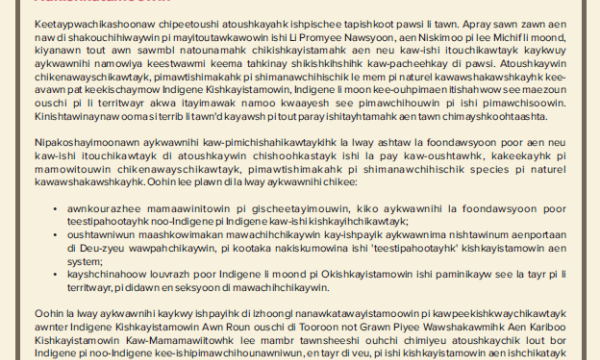 Principles for Cross-Cultural Collaboration_Michif thumbnail