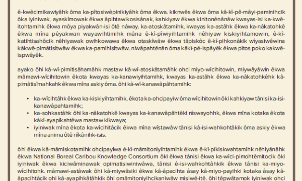 Principles for Cross-Cultural Collaboration_Woods Cree thumbnail