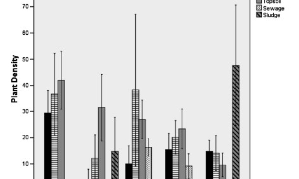 Plant density vs substrate type