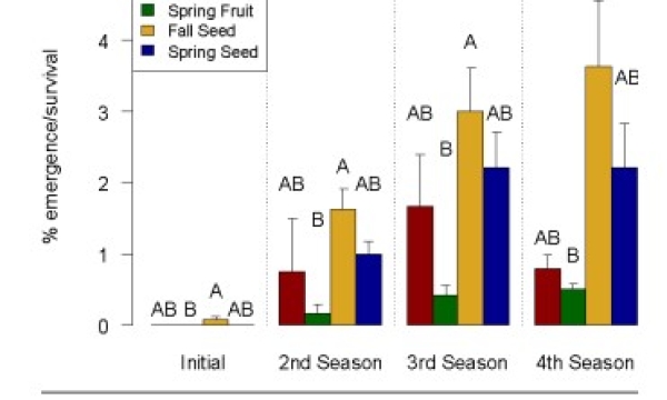 Bearberry emergence data