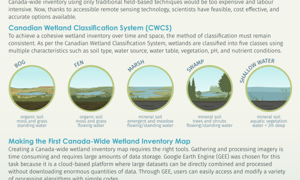 Wetland Mapping Briefing Note